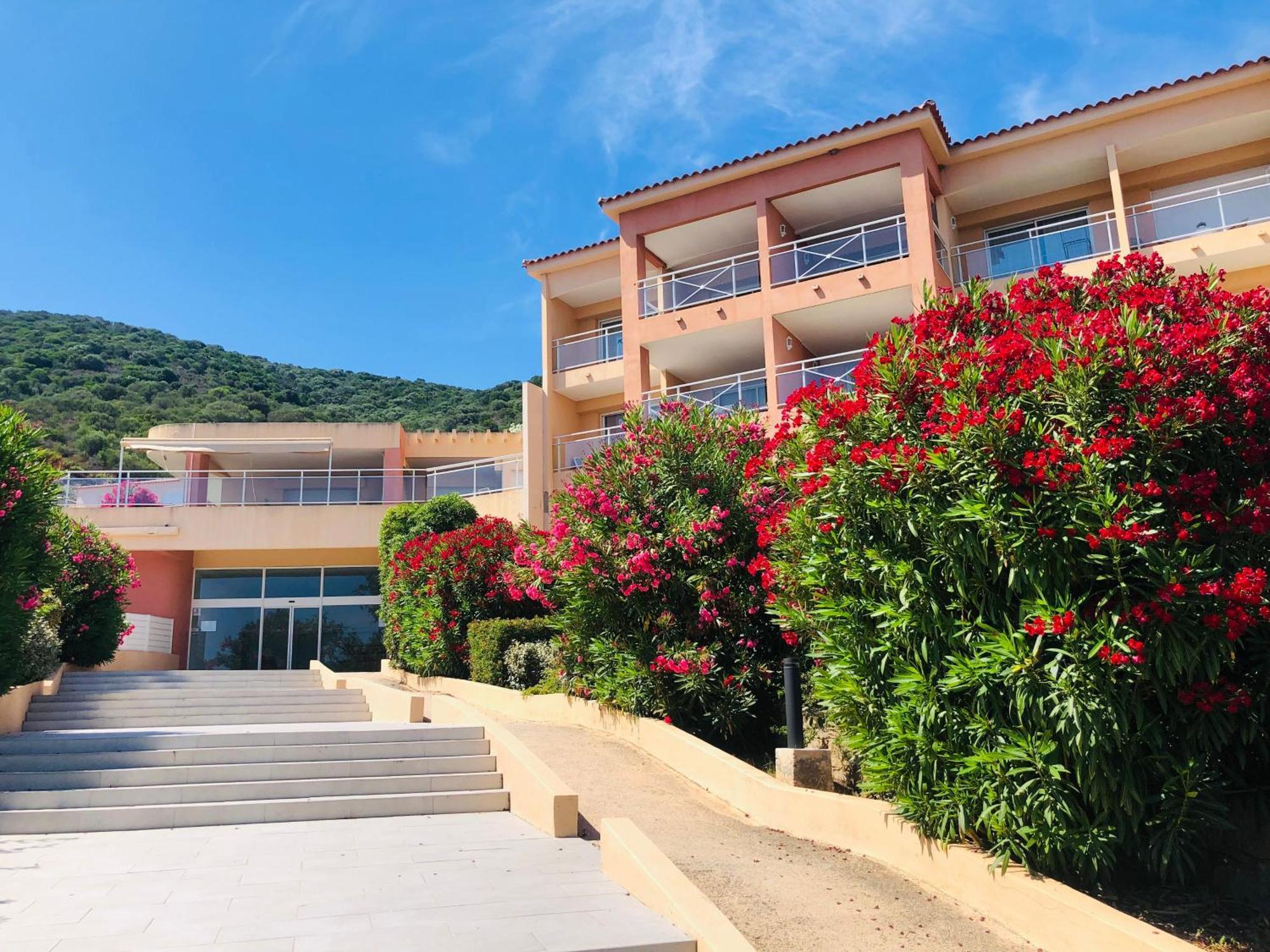 T2 Cosy Grande Terrasse, Piscine Et A 100m Apartment
