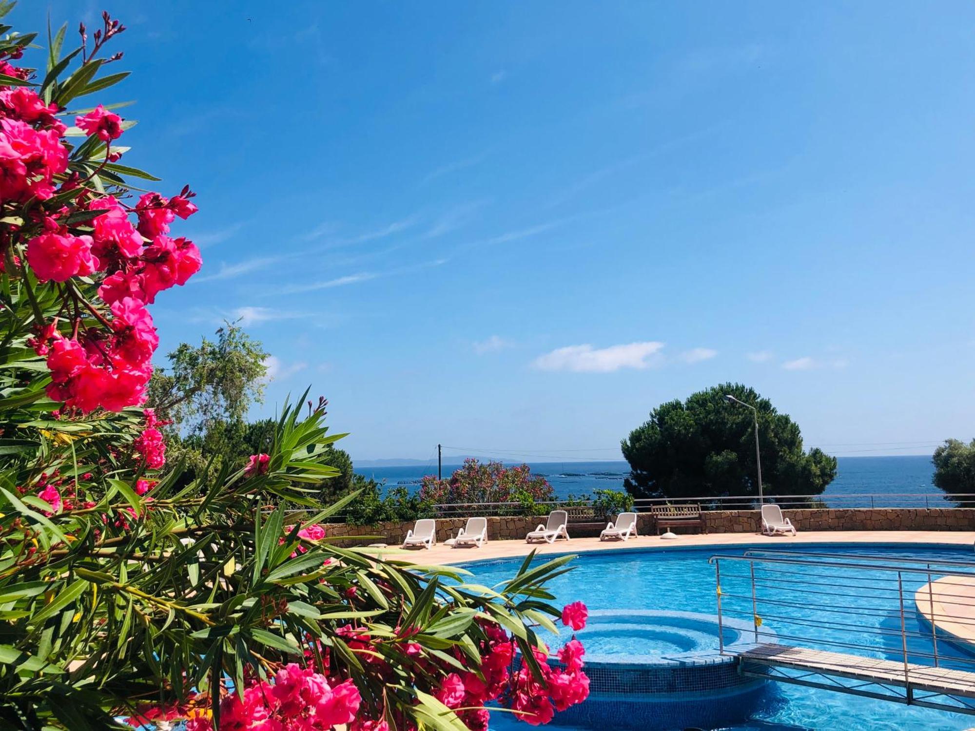 Apartment T2 Cosy Grande Terrasse, Piscine Et A 100m